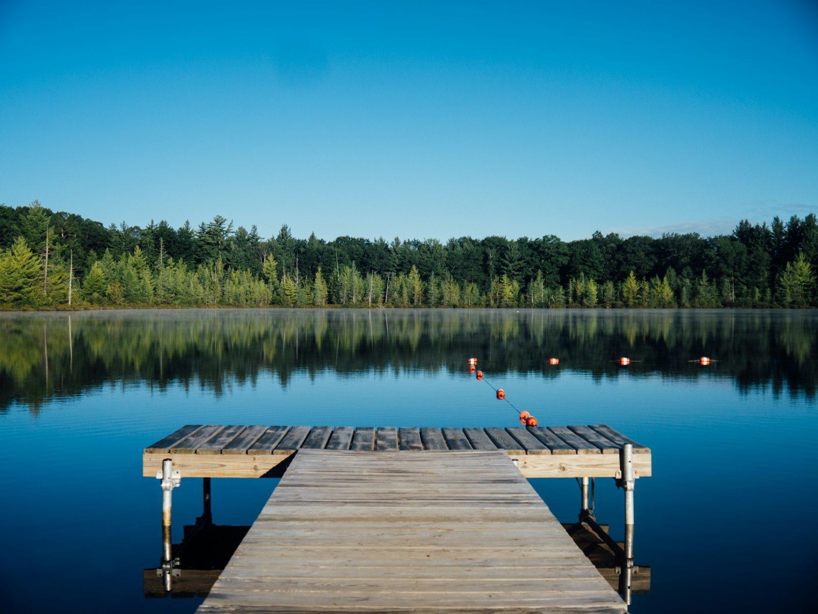 A wooden dock on a calm lake on a clear morning
