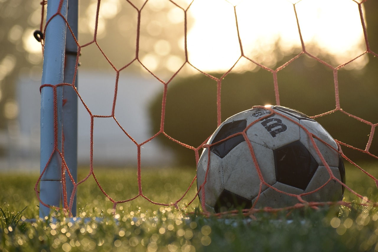 soccer, football, ball, goal, outdoor, grass, field, net, nature, football net, soccer net, sport, game